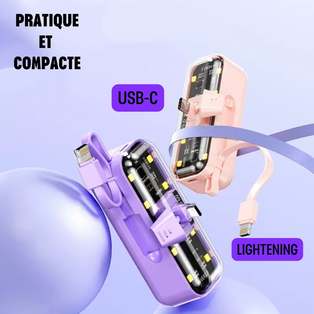 Mini batterie externe RR 5000Ah
