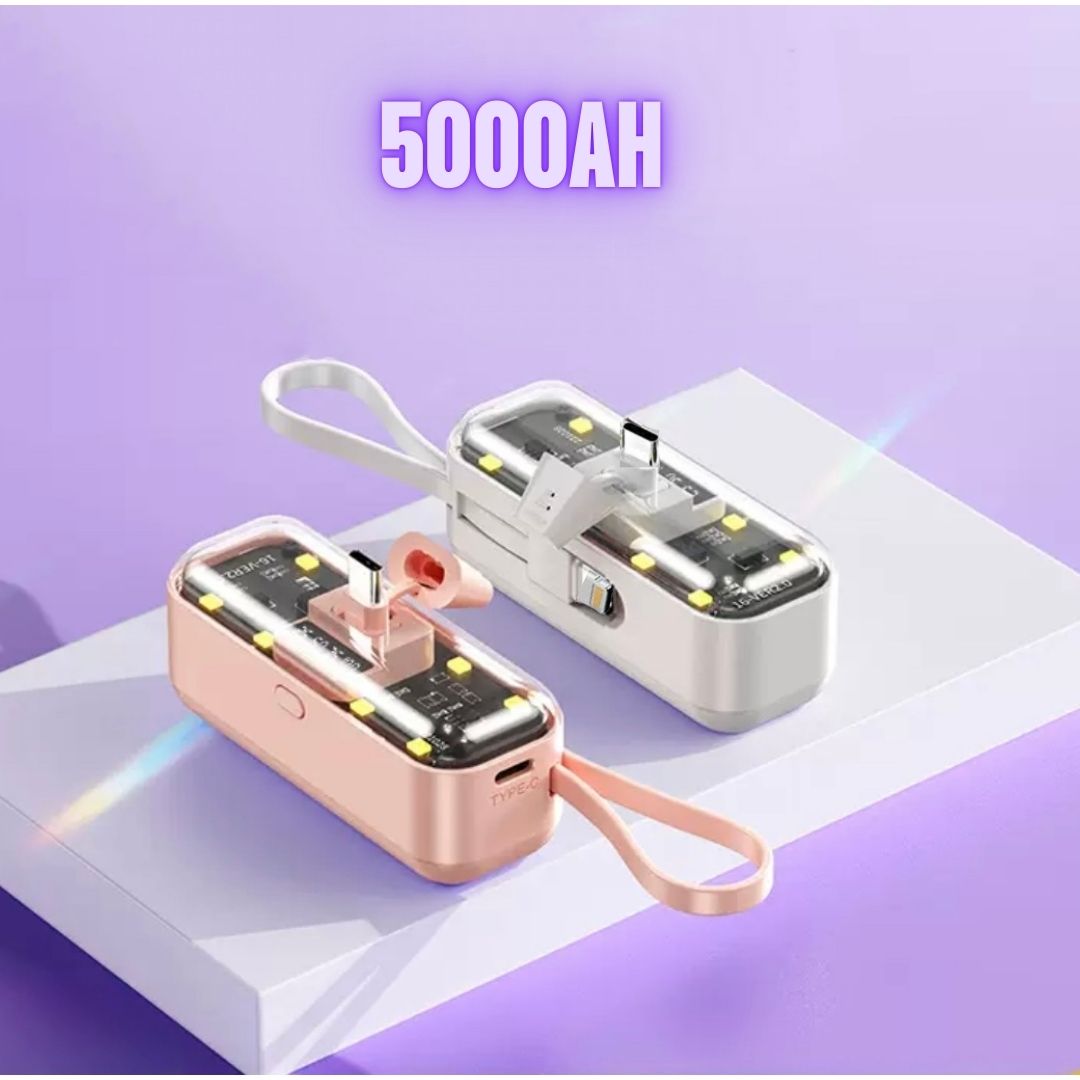 Mini batterie externe RR 5000Ah