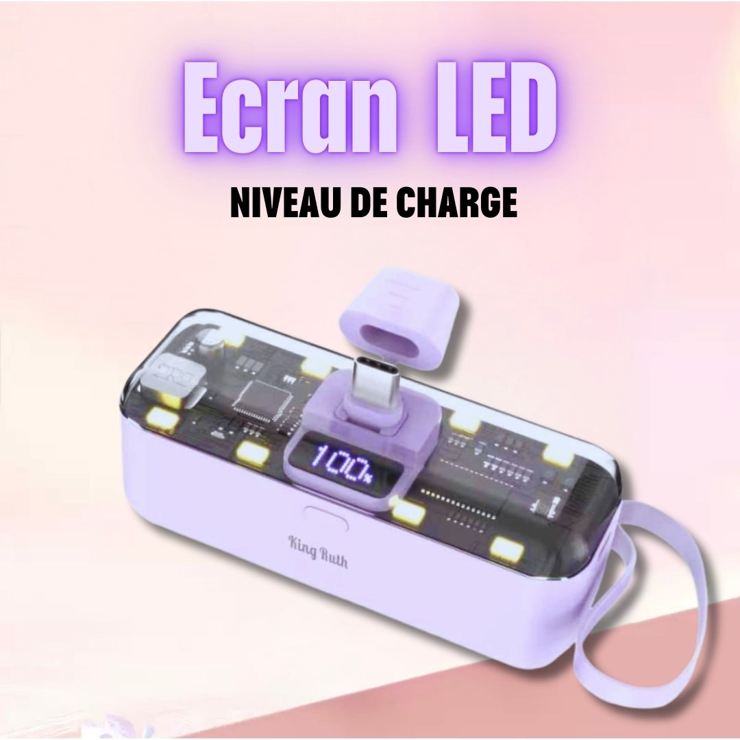 Mini batterie externe RR 5000Ah